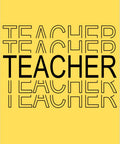 Teacher